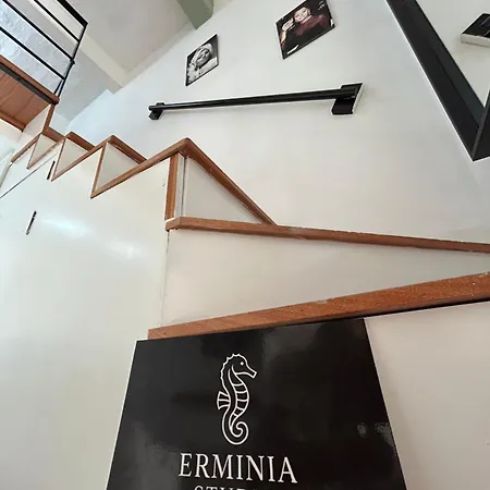 Erminia Loft Διαμέρισμα Βαλέτα