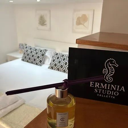 Erminia Loft La Valletta