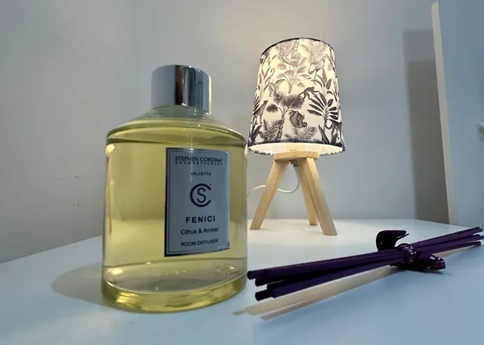 Διαμέρισμα Erminia Loft